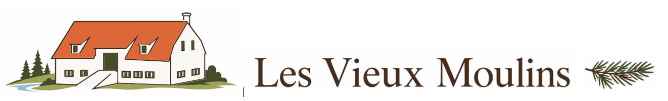 lvm logo horizontal